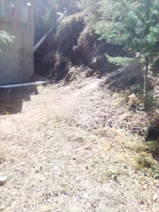 Avance de obra del 30/01/2026 — foto 4