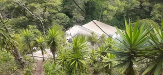 Avance de obra del 25/09/2026 — foto 4